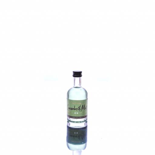 REAL ENGLISH CUCUMBER & MINT GIN - 5CL